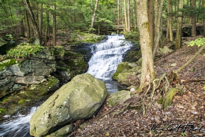 Abbey Pond Trail Falls 2017